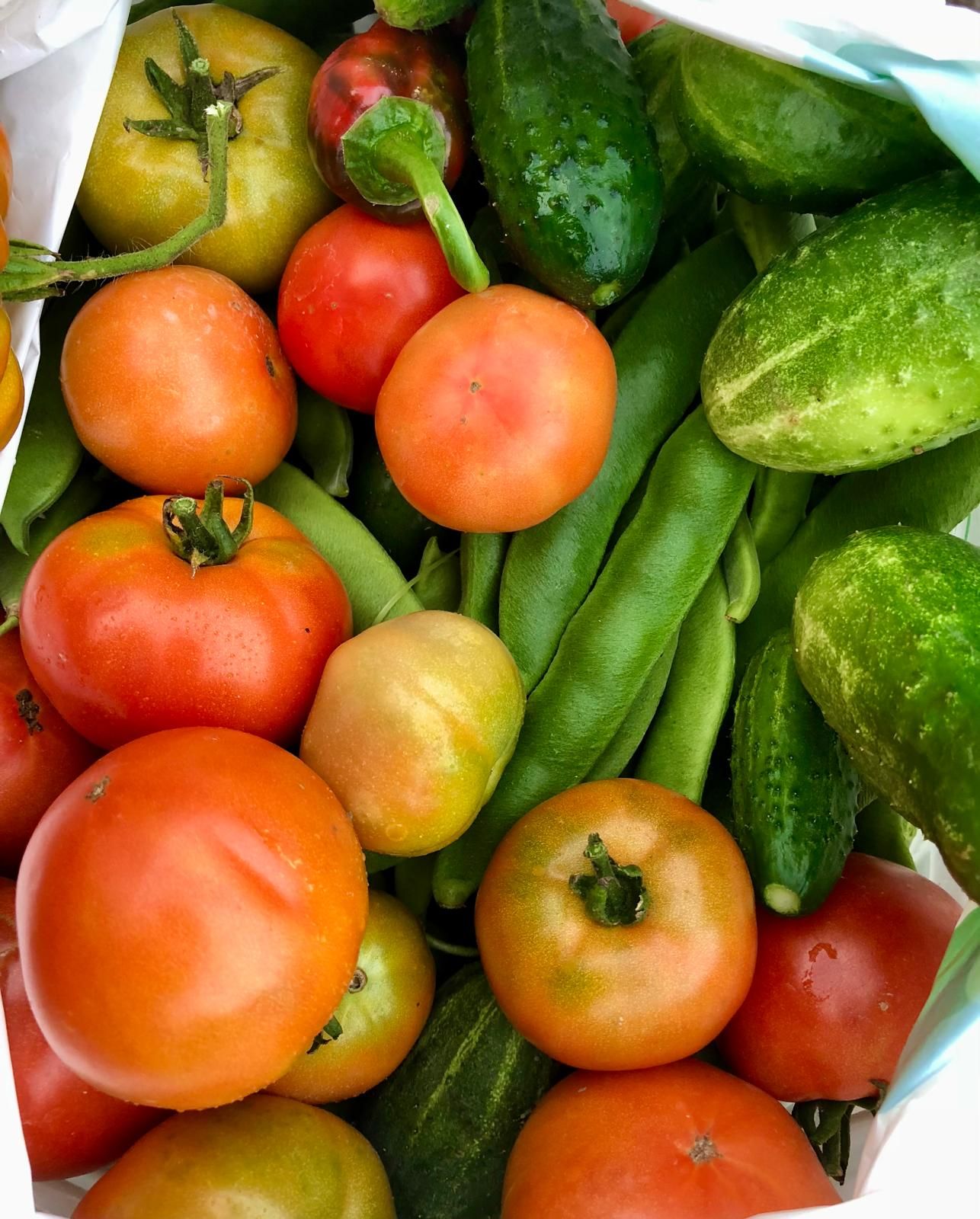 Agroturystyka u Zygmunta – budynek główny