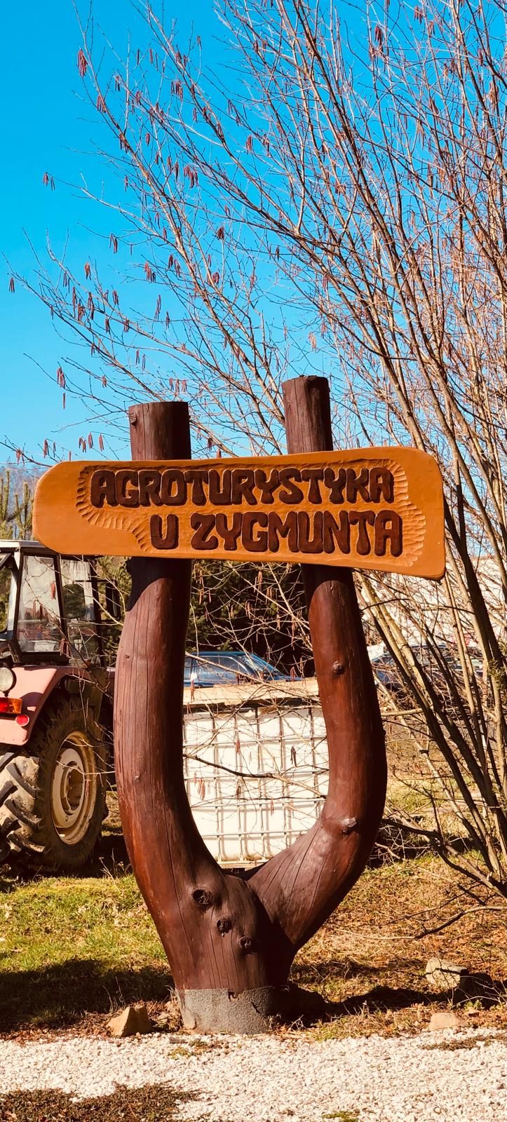 Ogród zimą – Agroturystyka u Zygmunta